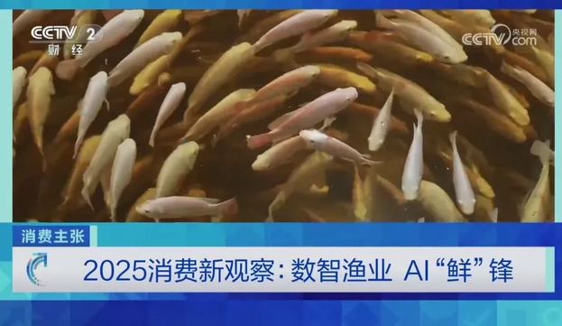 集團(tuán)智慧漁業(yè)項(xiàng)目獲央視《消費(fèi)主張》欄目專題報(bào)道 